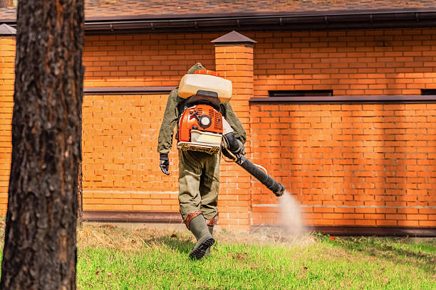 Trusted Rodent Control service in Avra Valley, AZ - Nex Pest Control